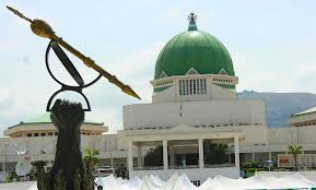 Senate moves to tackle out-of-school children issue