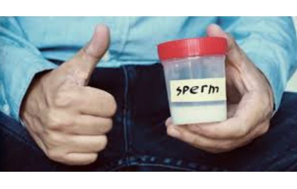 Foods That Enhances Sperm Production