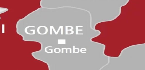 13-year-old boy defiles 8-year-old, others in Gombe