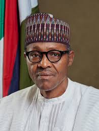 Nigerians should go back to farm, control population – Ex president, Buhari