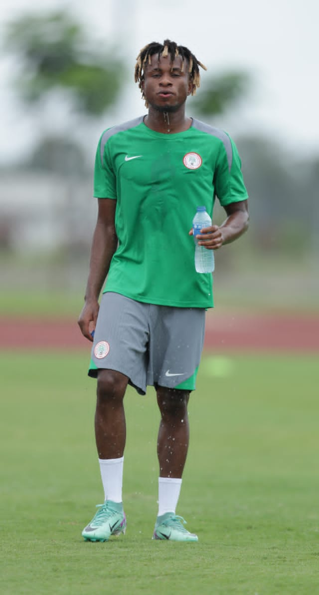 ODOGWU IN BOX 18 : The Task Before Finidi George And His Super Eagles