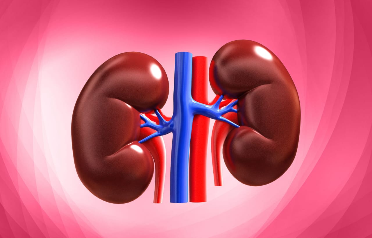 If Your Kidneys Are In Danger, Your Body Will Give You These 8 Signs