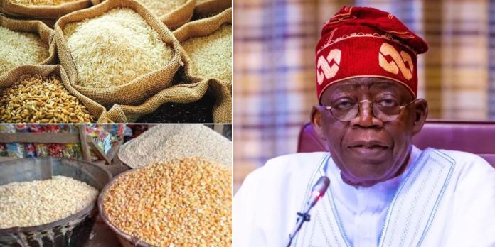 Tinubu’s government suspend taxes on rice, maize, wheat, other food items
