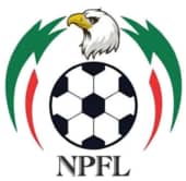 NPFL U-17: Ex International hails NPFL Board over Youth League Initiative