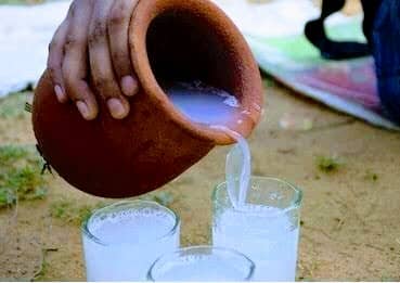 Discover the Health Benefits of Drinking Palm Wine