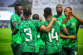 Has This Super Eagles of Nigeria Landed?