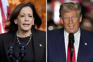 Kamala Harris Loses to Donald Trump: A Reflection of Key Concerns Among American Voters