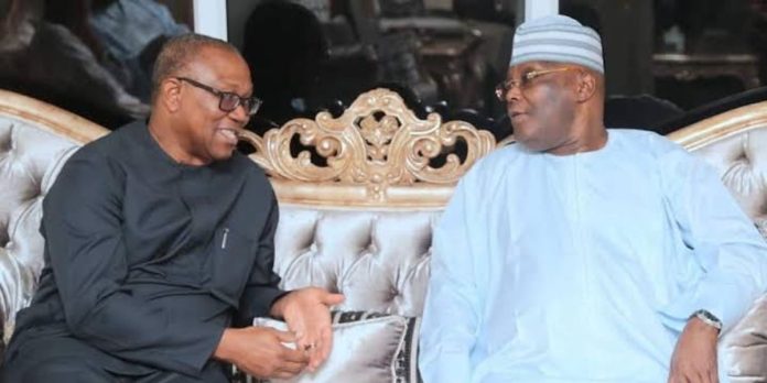 Atiku and Obi Deny Joint 2027 Presidential Ticket After Adamawa Reunion