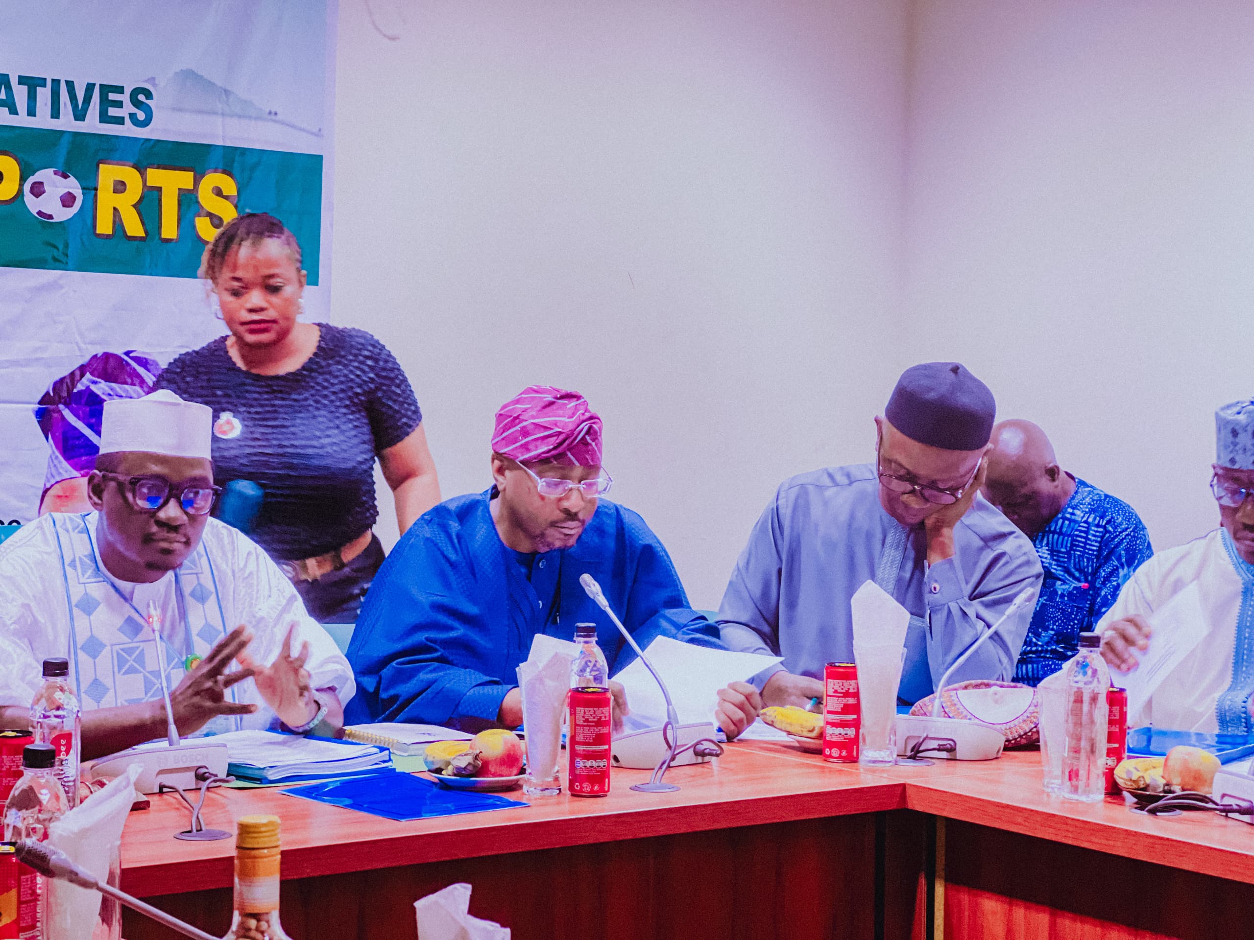 Budget Defense: House Committee On Sports Lauds Tinubu On Increment  ...Assures NSC, NFF Of National Assembly Support