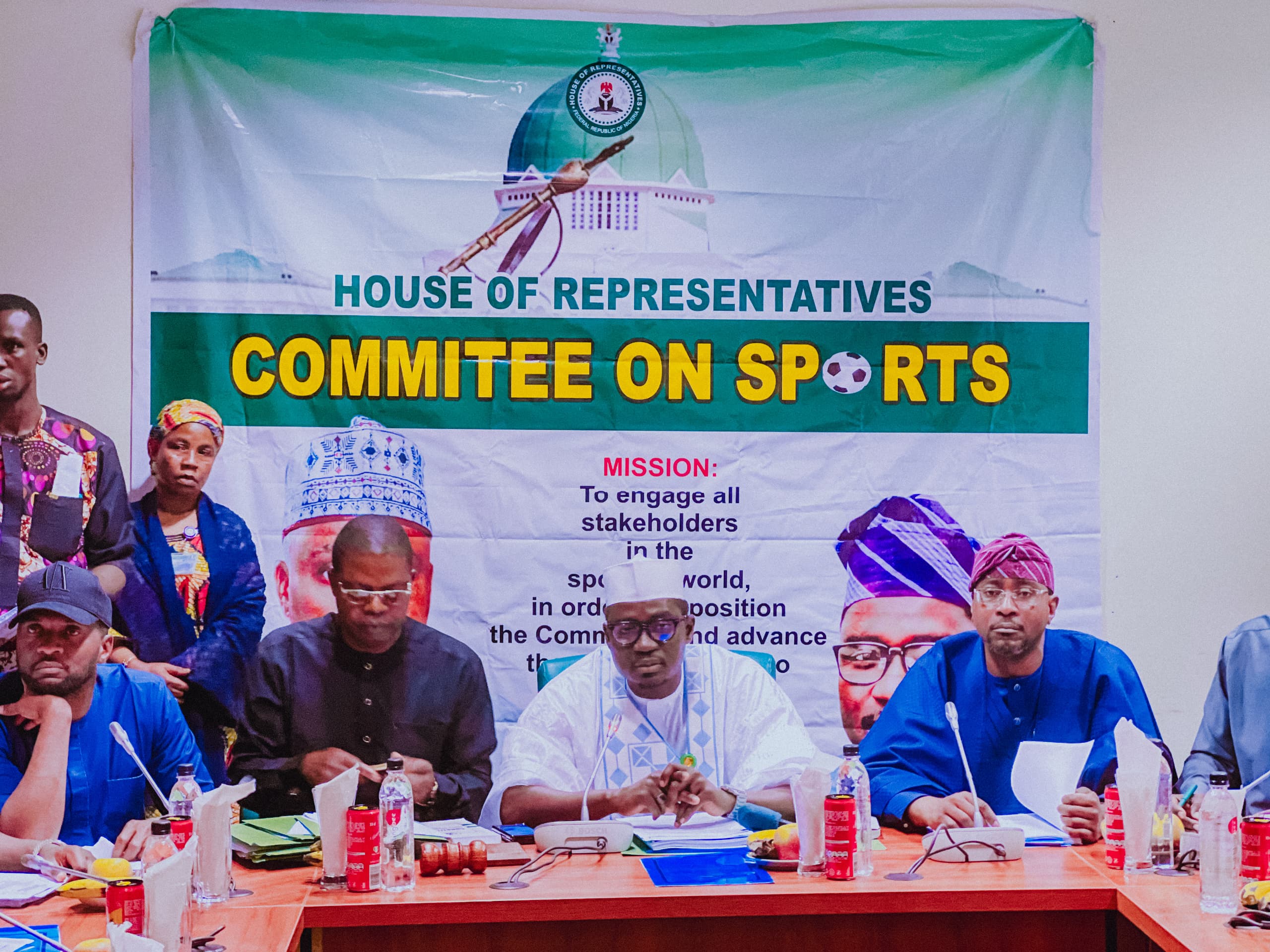 Budget Defense: House Committee On Sports Lauds Tinubu On Increment  ...Assures NSC, NFF Of National Assembly Support