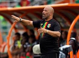 Support Super Eagles, New Coach, Pamodzi Urges Nigerians